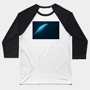 Beluga Whale Swimming Solo Baseball T-Shirt